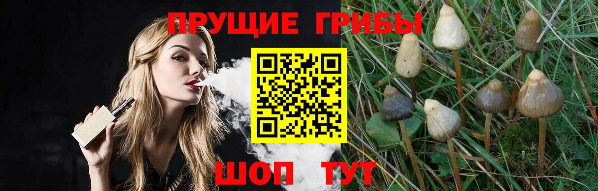Волхов  Псилоцибиновые грибы Cubensis  Вход с VPN  Галлюциногенные грибы мухоморы 
